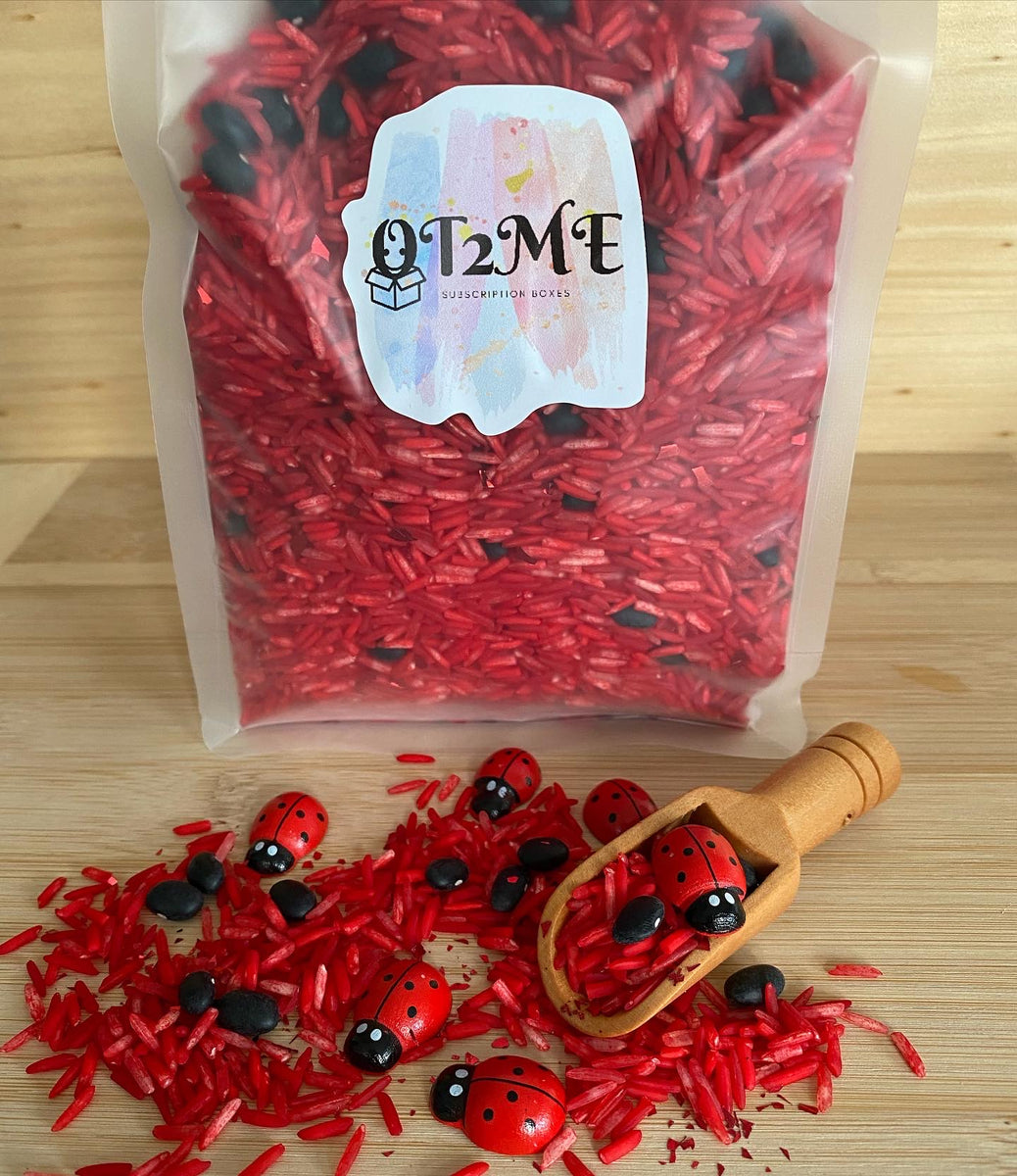 Ladybug Sensory Rice – OT2ME